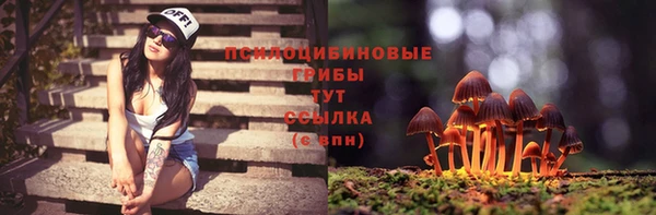 ГАЛЛЮЦИНОГЕННЫЕ ГРИБЫ Инта