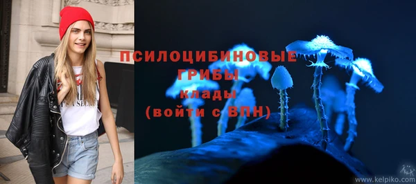 ГАЛЛЮЦИНОГЕННЫЕ ГРИБЫ Инта