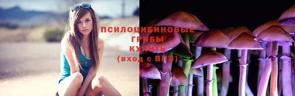 ГАЛЛЮЦИНОГЕННЫЕ ГРИБЫ Инта