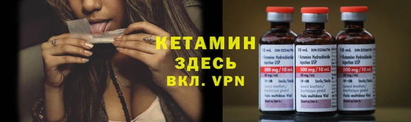 ГАЛЛЮЦИНОГЕННЫЕ ГРИБЫ Инта