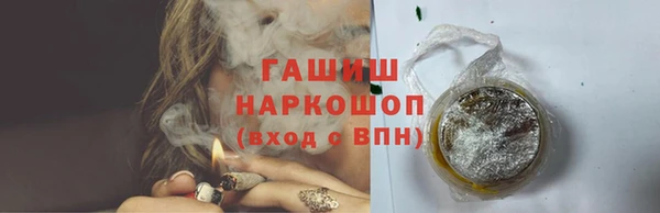 ГАЛЛЮЦИНОГЕННЫЕ ГРИБЫ Инта