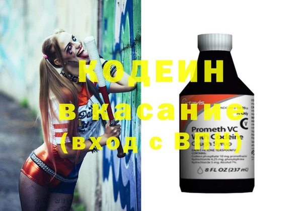 ГАЛЛЮЦИНОГЕННЫЕ ГРИБЫ Инта