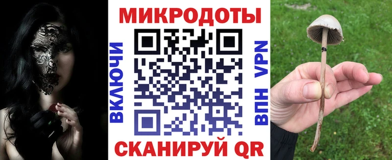Галлюциногенные грибы прущие грибы  Купить закладки  Заречный 